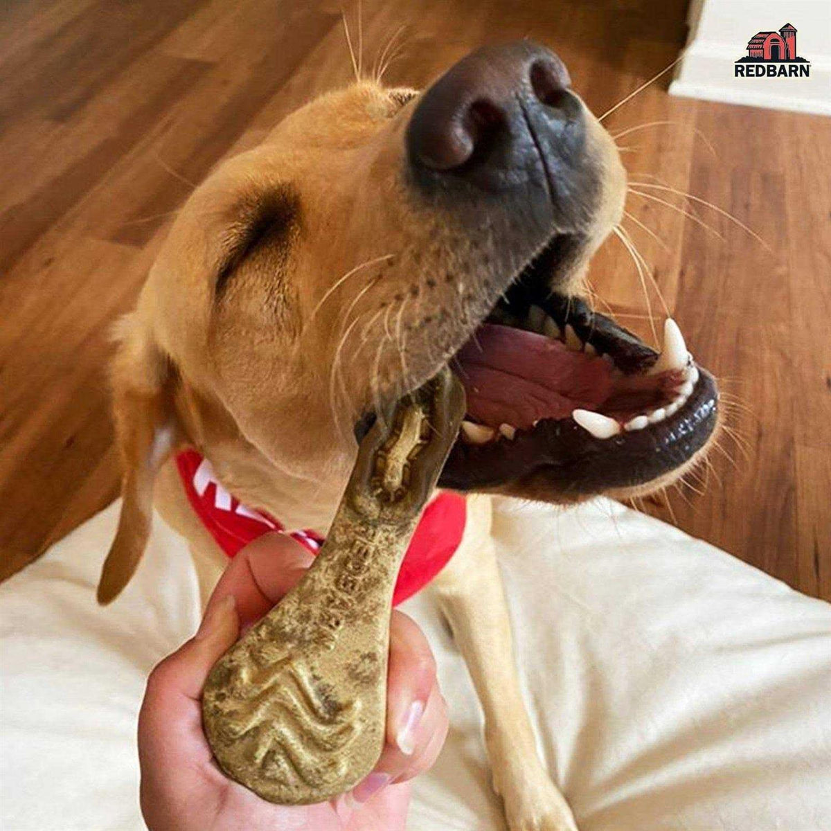 Dental Dog Chew P6740
