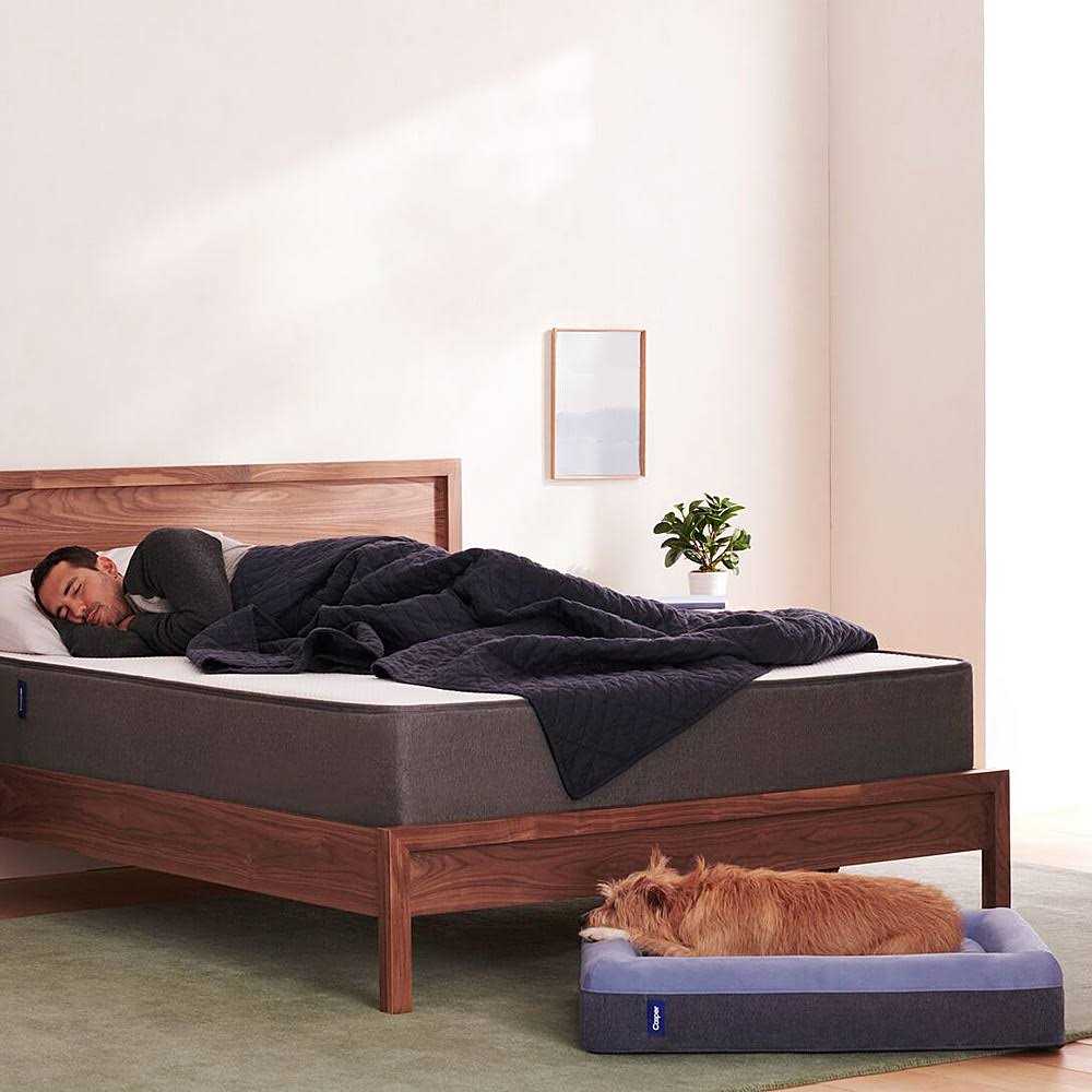 Dog Bed Y144642