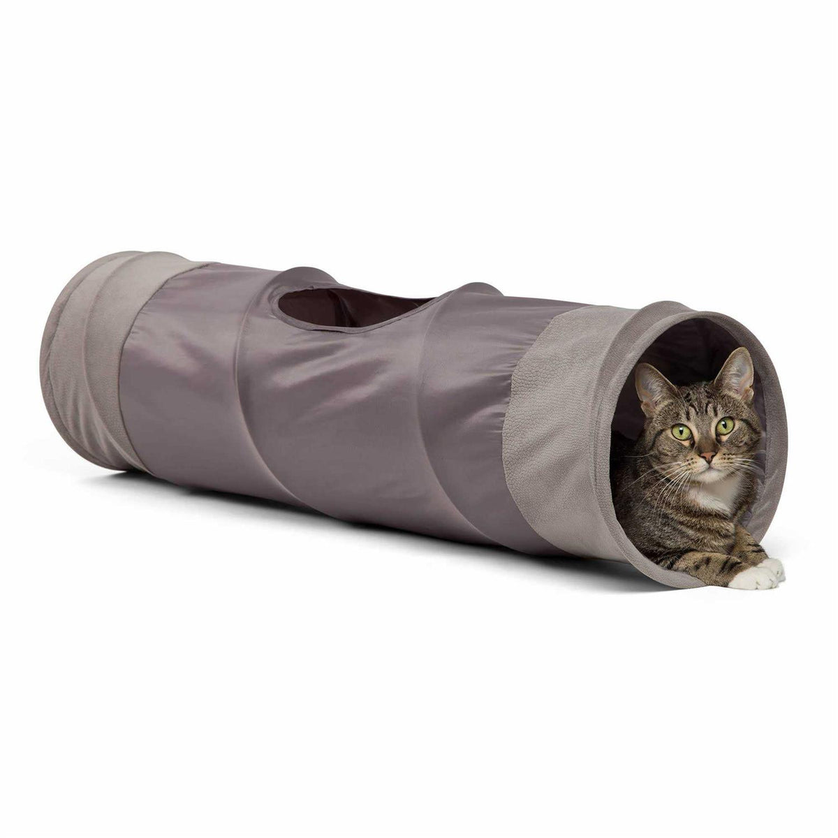Cat Tunnel X210277