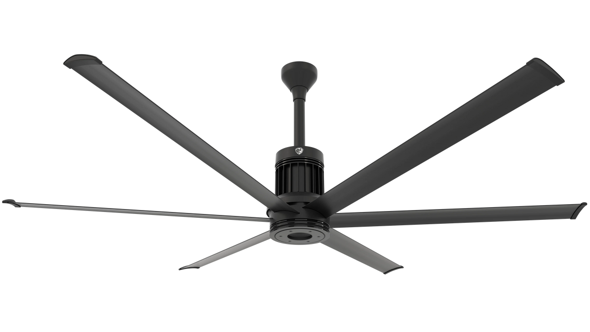 Black Ceiling Fan M341243
