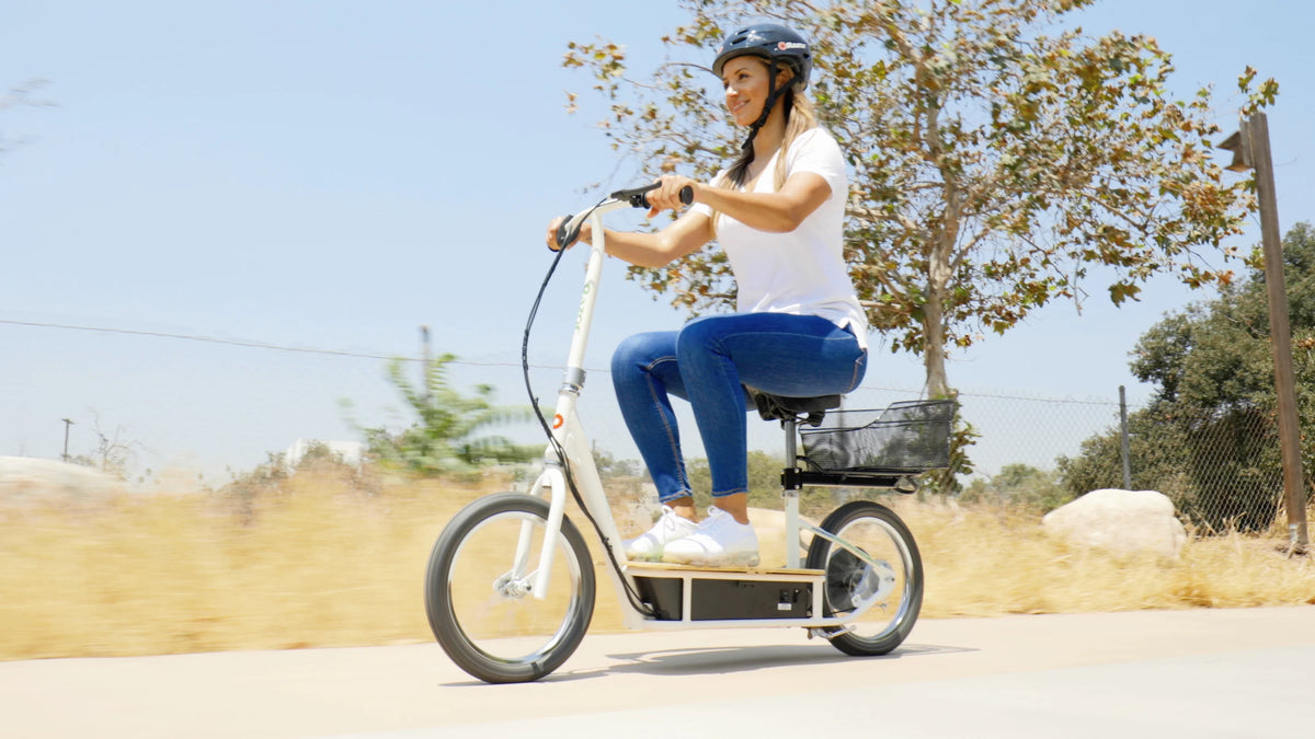 Seated Electric Scooter S79659