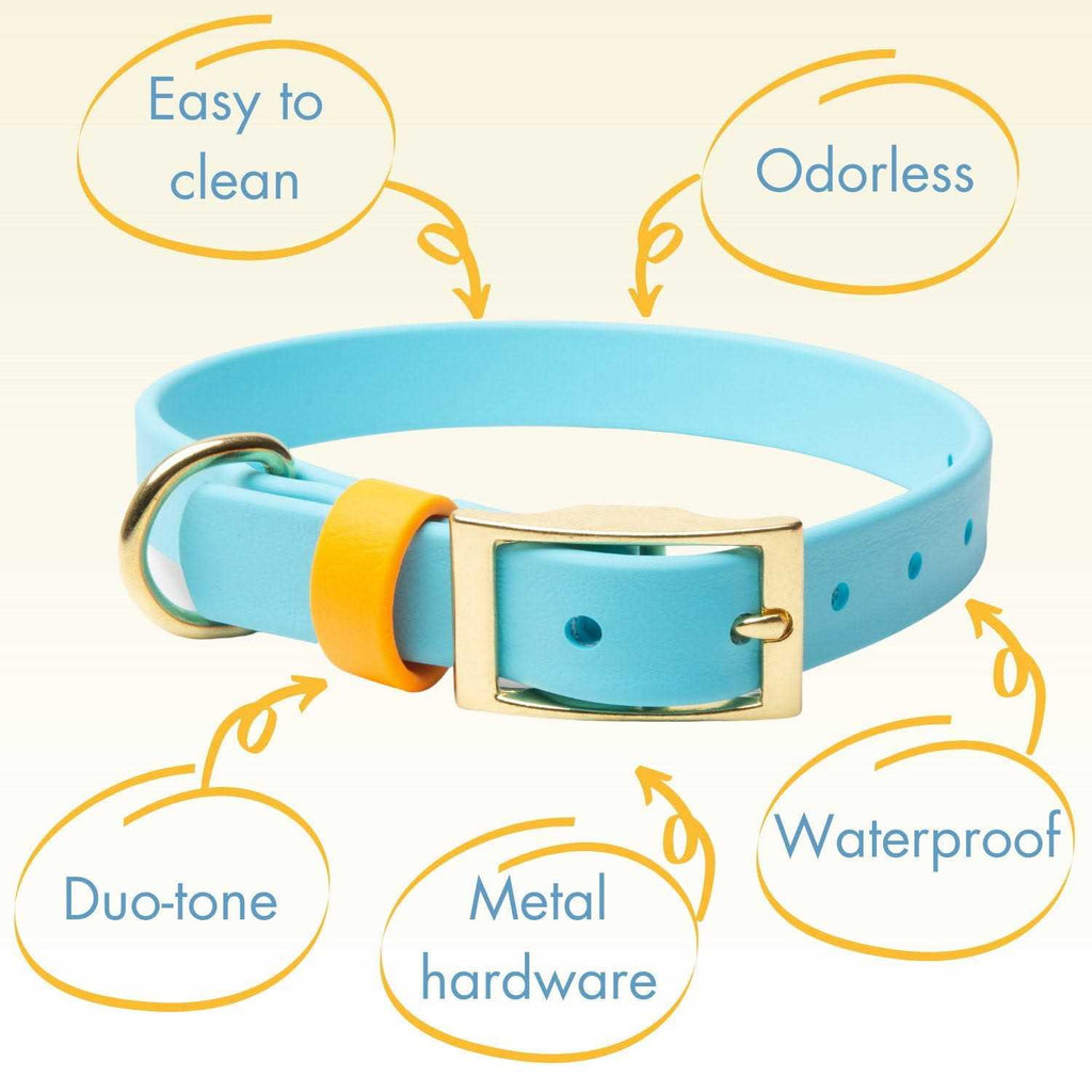 Waterproof & Odorless Dog Collar Y942000