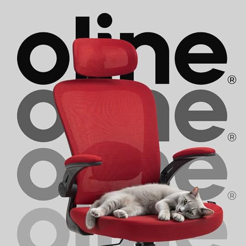 Black Ergonomic Mesh Office Chair G88662