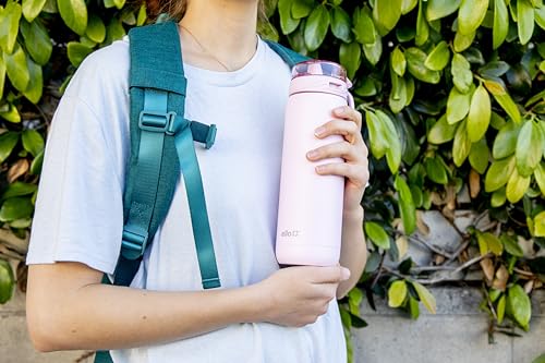 32oz Stainless Steel Water Bottle with Straw and Carry Handle J5985