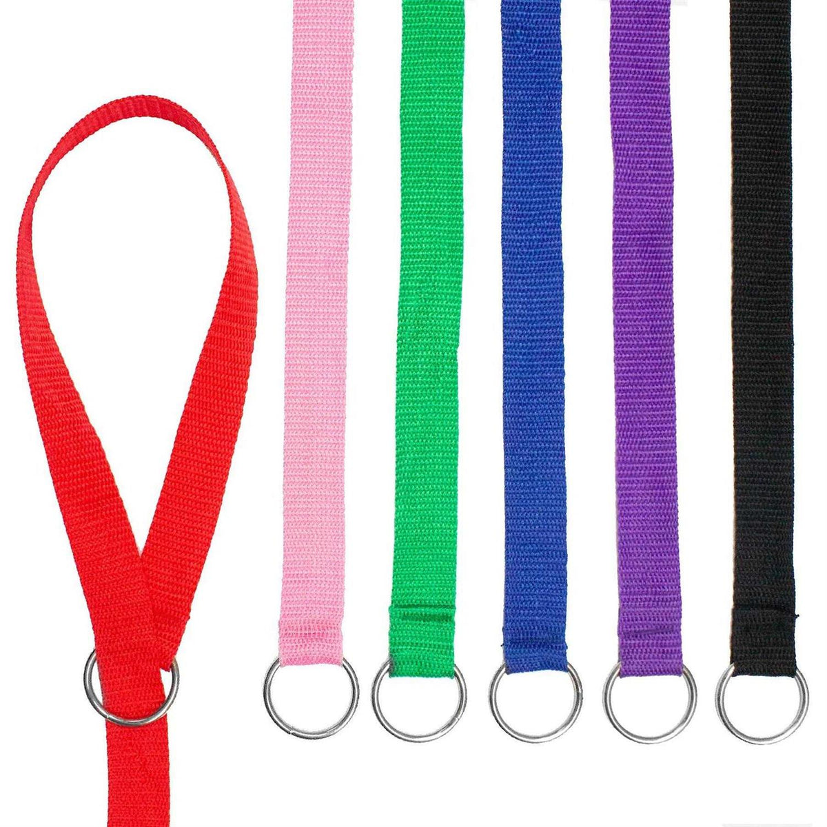 Dog Slip Lead Dog Leash W19364