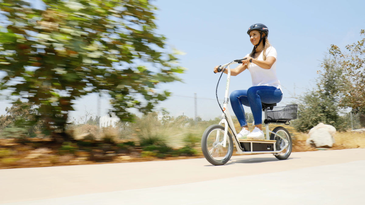 Seated Electric Scooter S79659