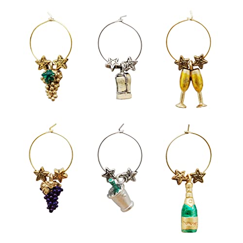 Multicolor Set of 6 Wine Charms E533