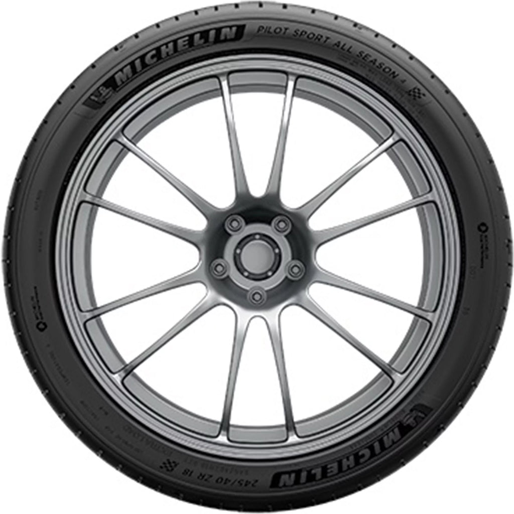 All Season 295/35ZR21 Passenger Tire V1829