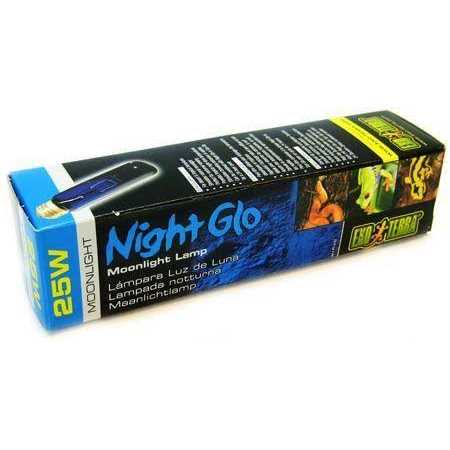 Night Heat Lamp B125