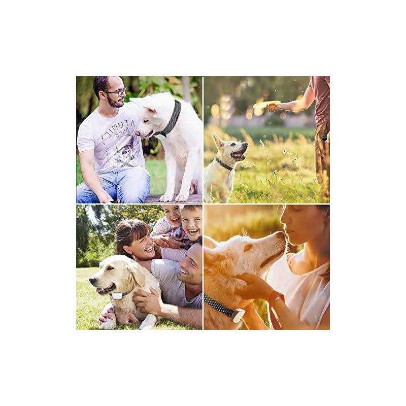 Rechargeable Anti Barking Training Collar S242