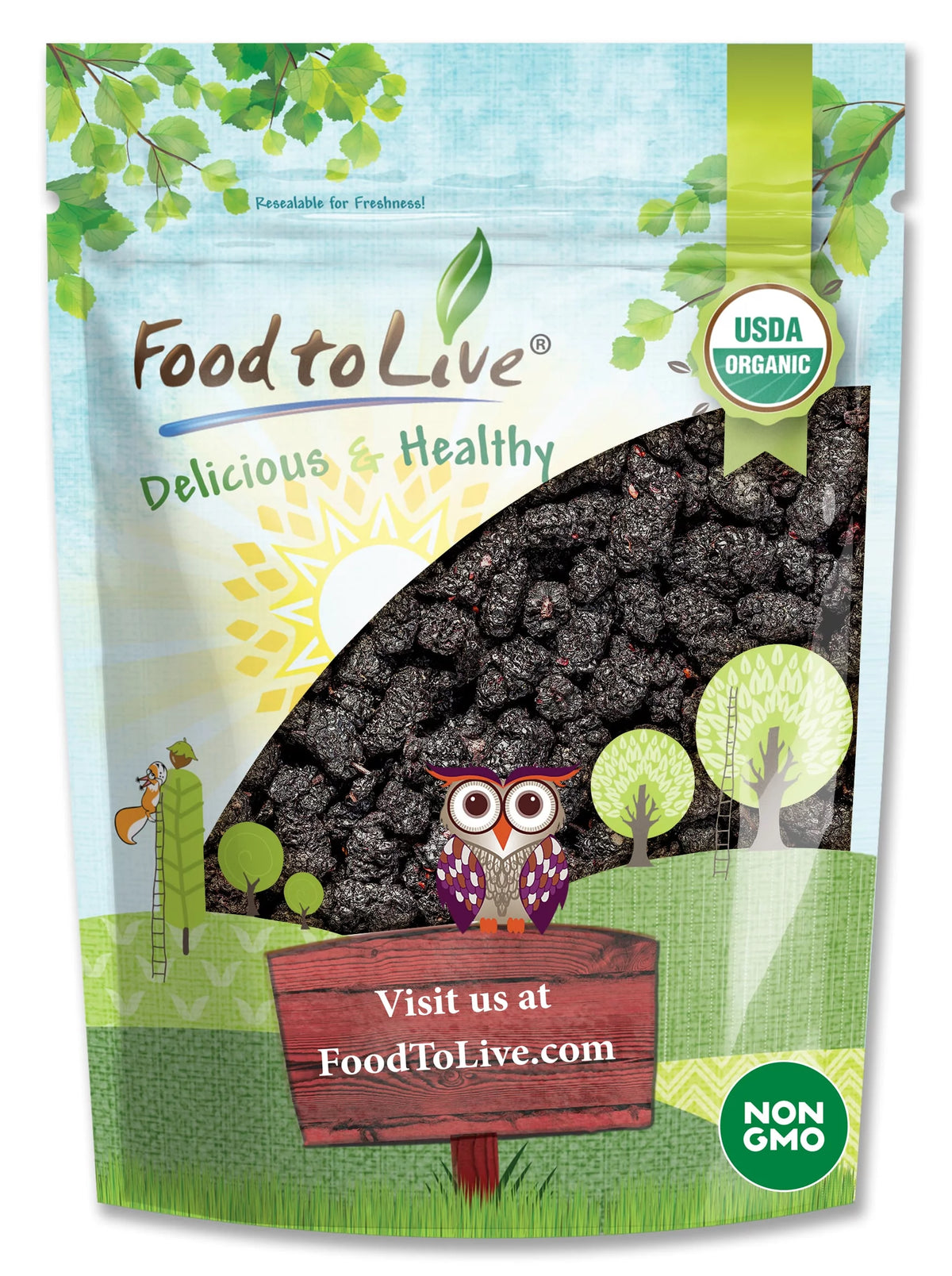 Organic Black Mulberries 2 Pounds M169708