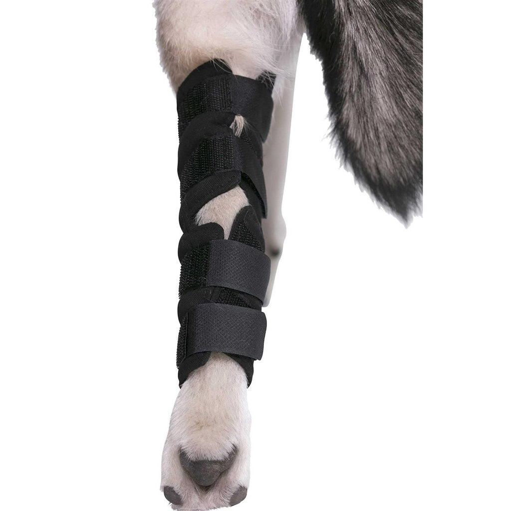 Dog Hock Brace Rear Leg Joint Wrap D461
