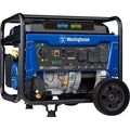 Portable Dual Fuel Generator E127017