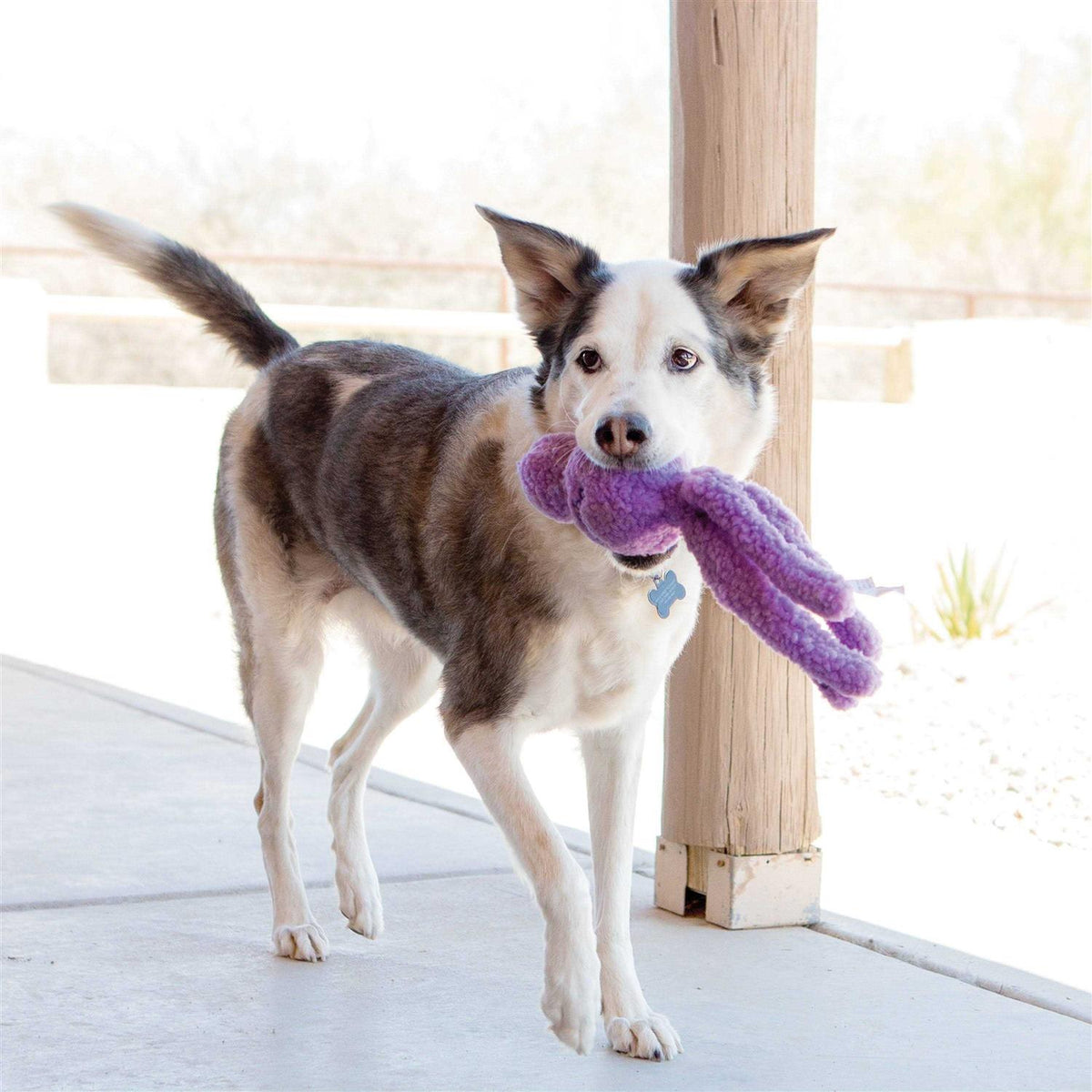 Dog Toy U216496