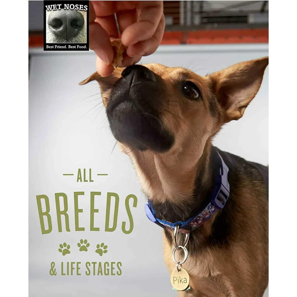 Grain Free Carrot & Sweet Potato Dog Treats Y6692