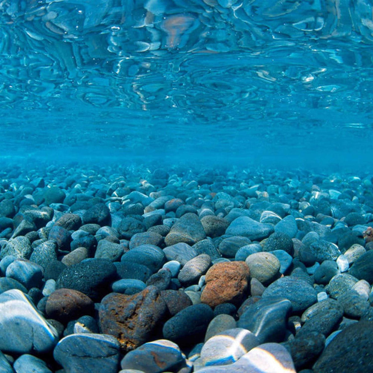 River Rock/Coral Bliss Background Q9146