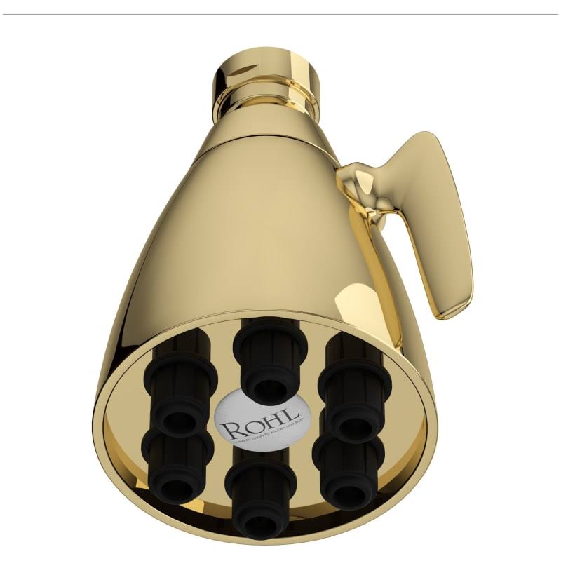 Adjustable Shower Head Unlacquered Brass R909