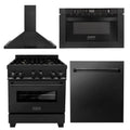 30 in. Black Stainless Steel Gas Range, Range Hood, Microwave Drawer and Dishwasher H75996