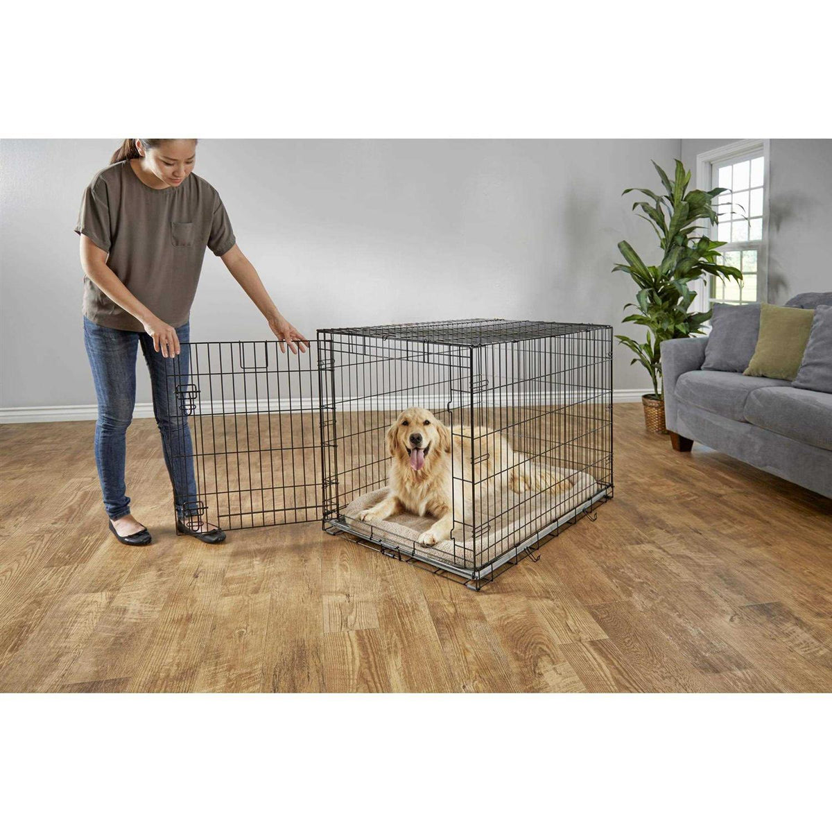 Dog Crate V304