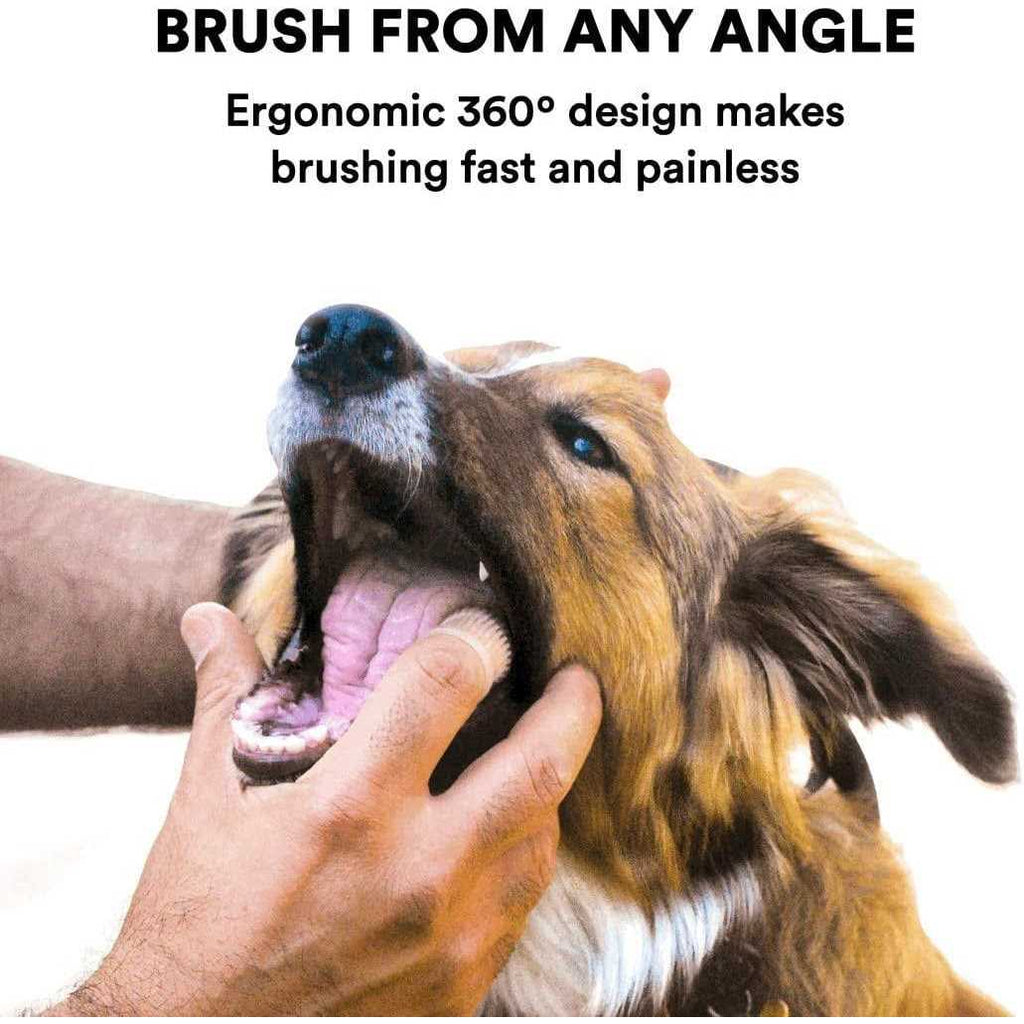 Dog Toothbrush Y254699