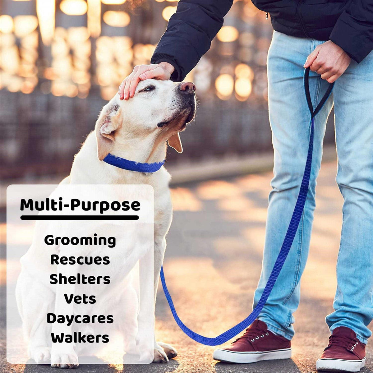 Dog Slip Lead Dog Leash W19364