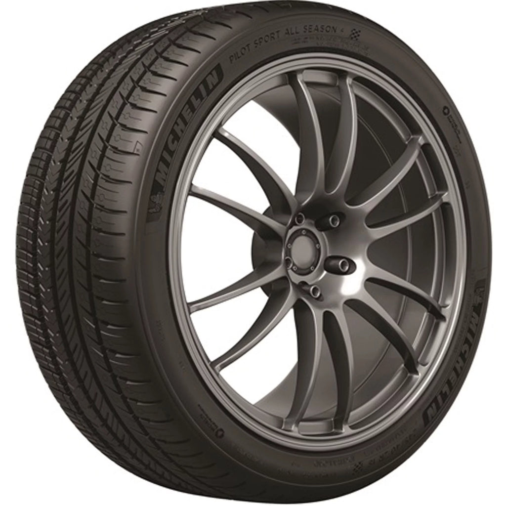 All Season 295/35ZR21 Passenger Tire V1829