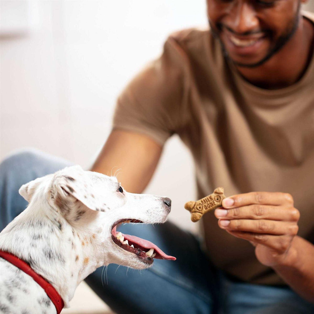Flavor Snacks Dog P110842