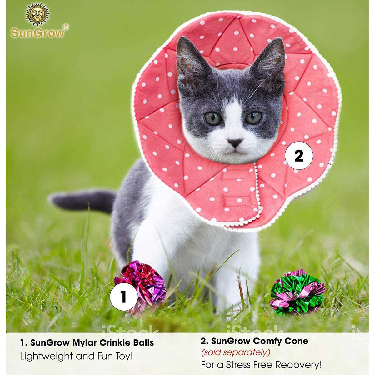 Cat & Kitten Toys M115
