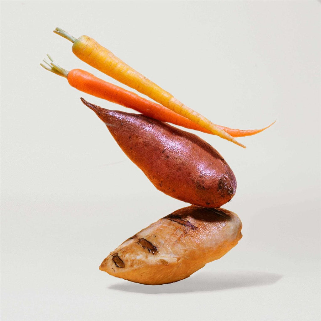 Sweet Potato & Carrot Dry Dog Food O93922