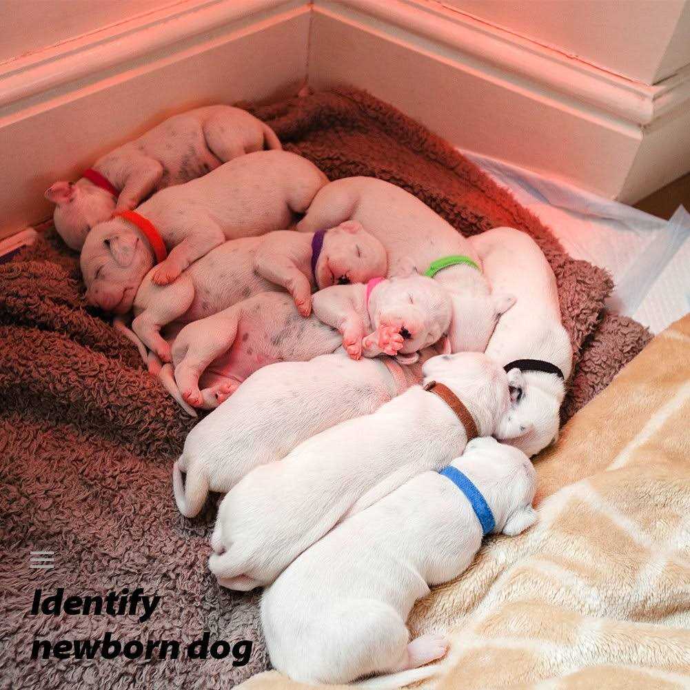 15 Colors Double-Sided Soft Adjustable Puppy ID Collars Z939