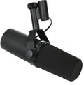 Cardioid Dynamic Microphone J29253