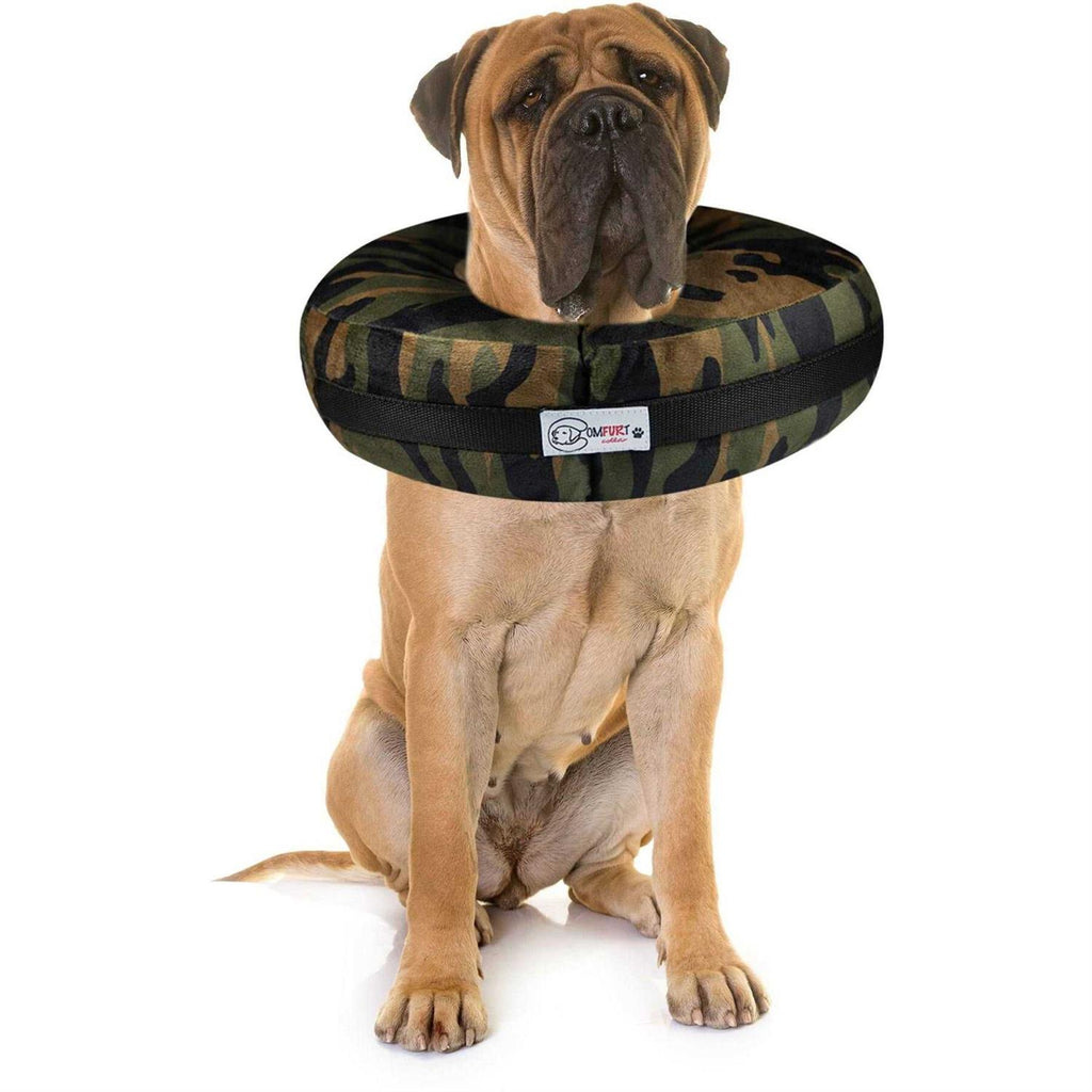 Dog & Cat Recovery Collar V705359