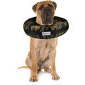 Dog & Cat Recovery Collar V705359