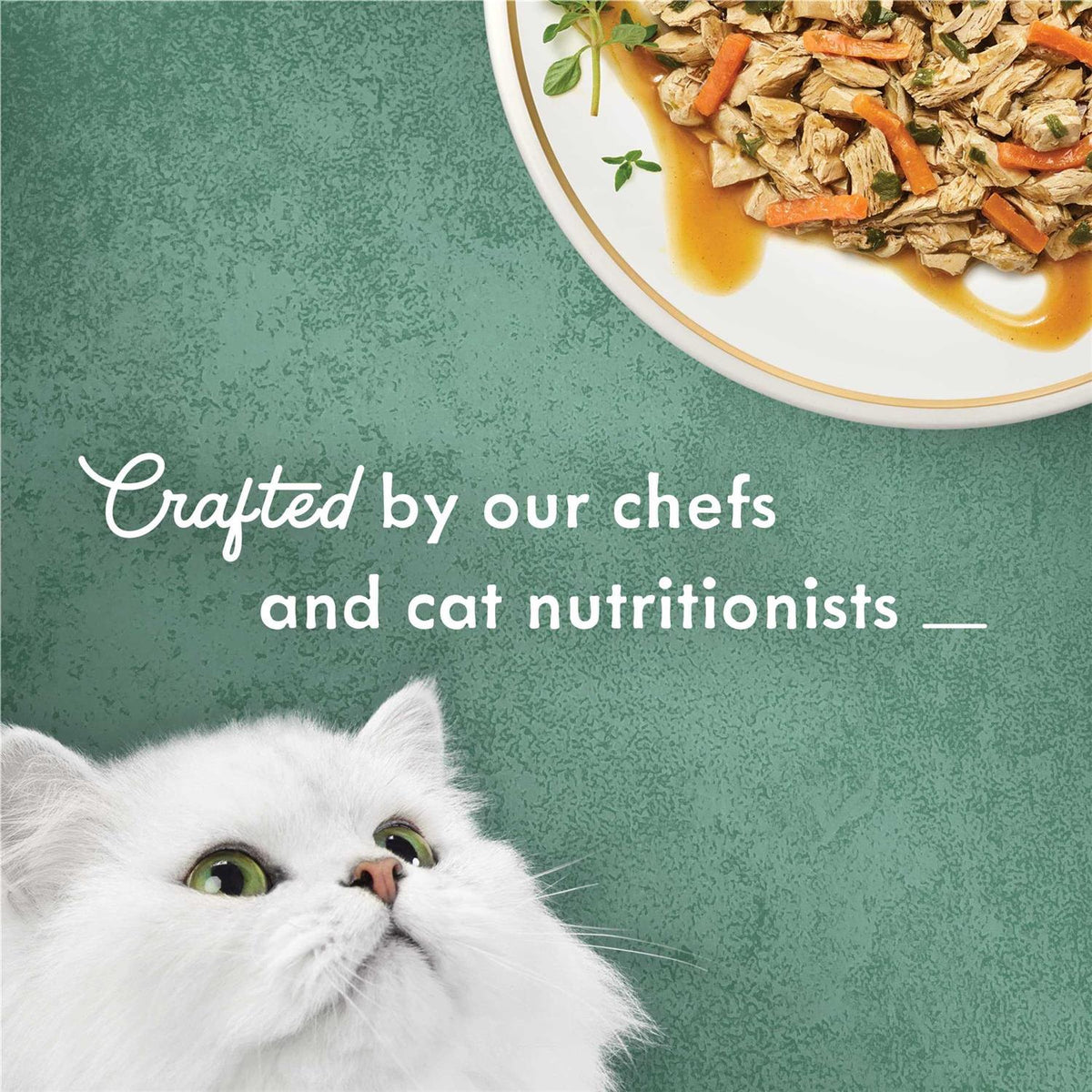 White Meat Chicken Recipe with Garden Veggies in Sauce Canned Cat Food K41969