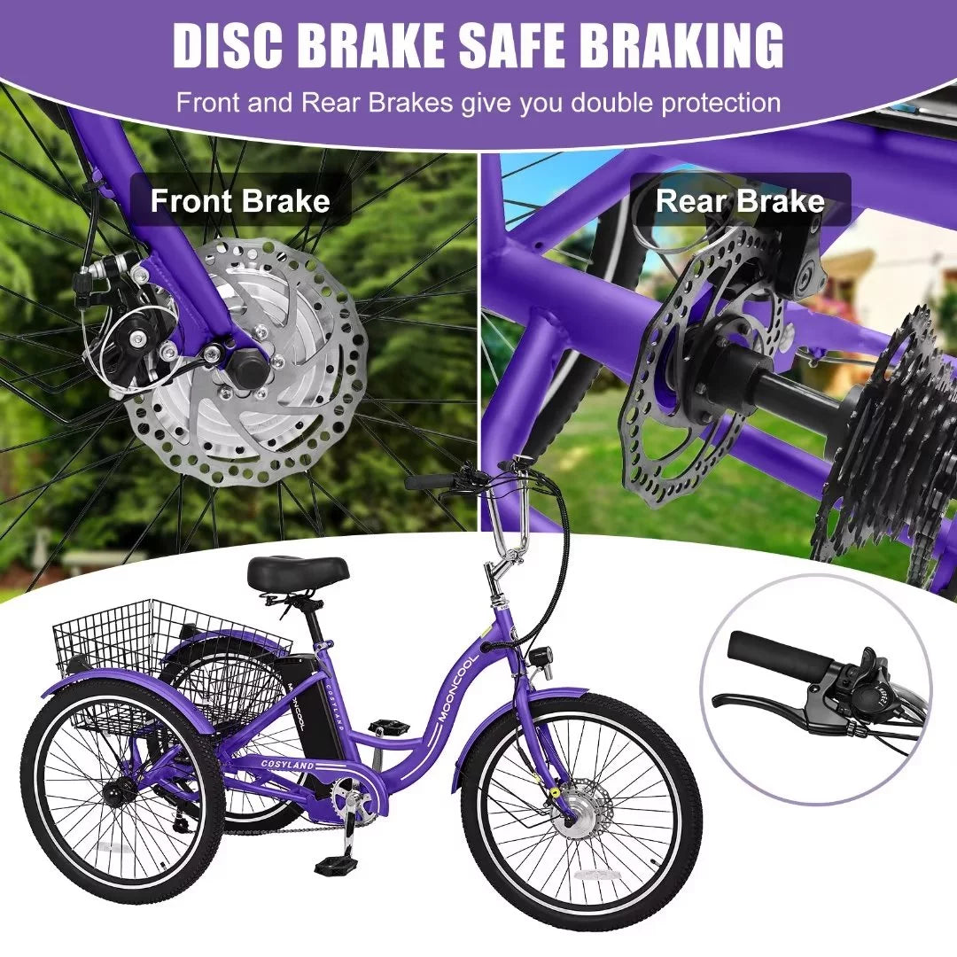 3 Wheel 500W Electric Trike B284017