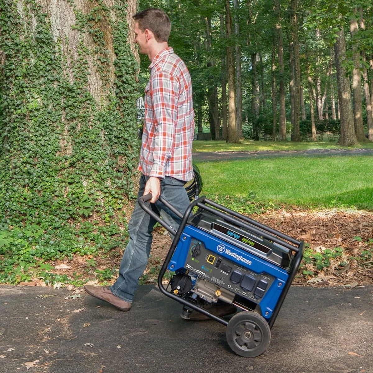 Portable Dual Fuel Generator E127017